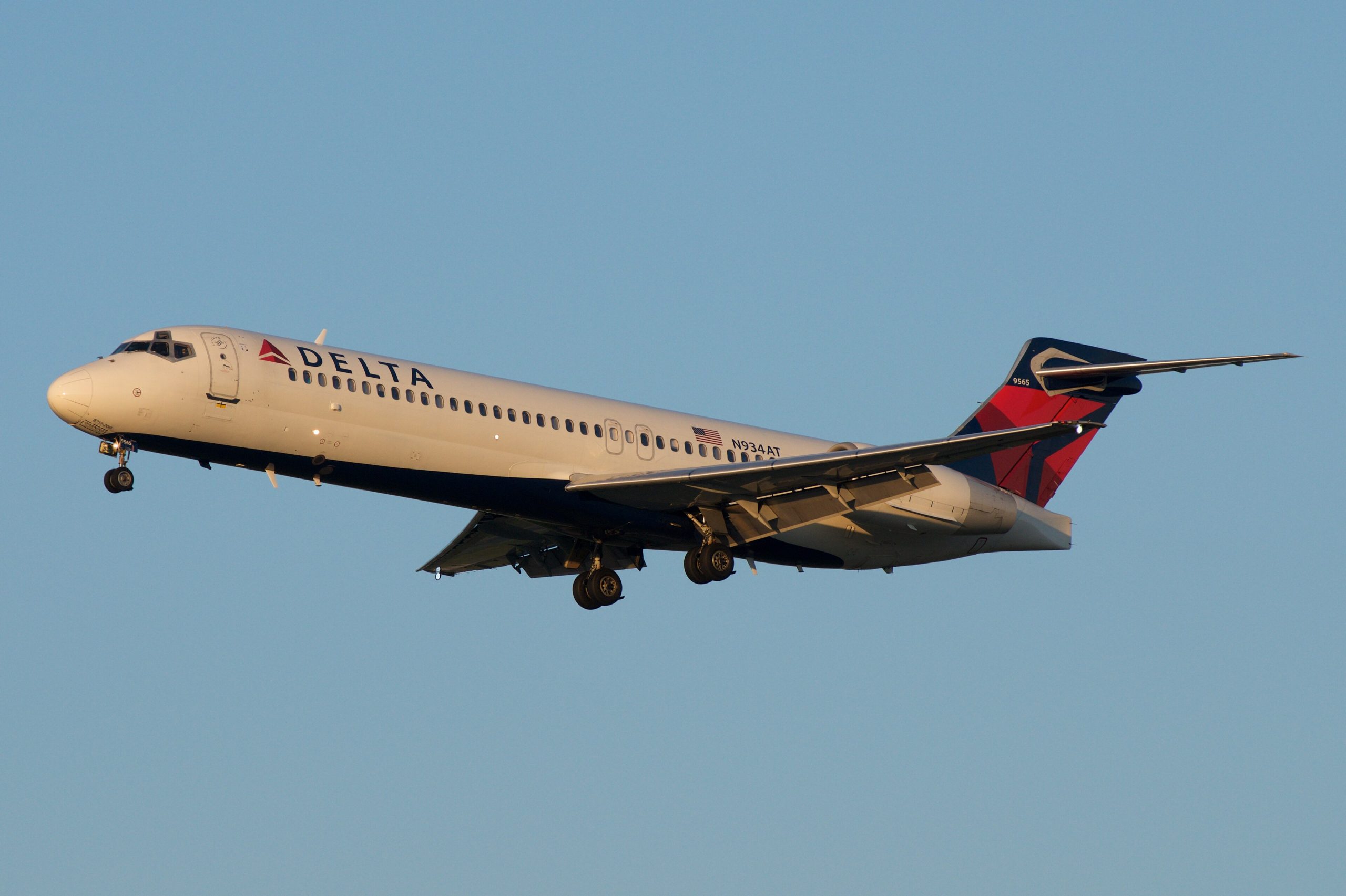 Bird Strike in St. Louis Causes Damage to Delta Flight
