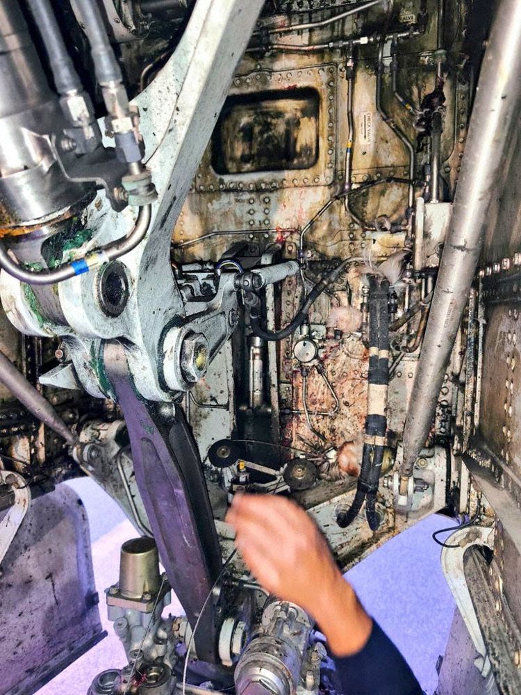 An Air Europa flight suffered a significant incident at Palma de Mallorca, caused by a bird strike. 