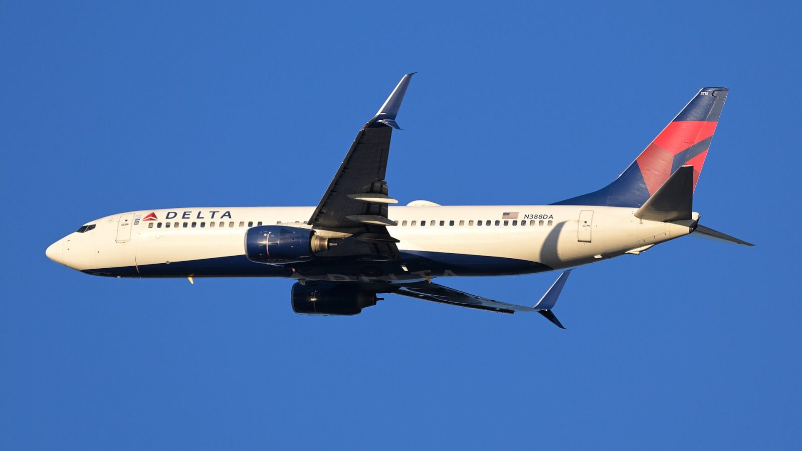 Delta Flight Attendants Assaulted: Selma Blair Arrested at JFK