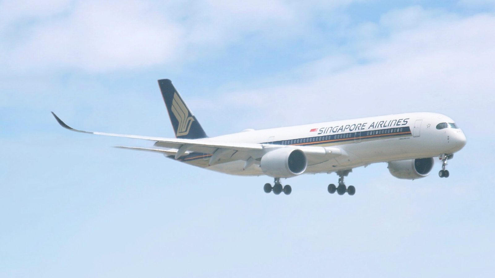 Singapore Airlines Cabin Crew Member Falls Ill: Passenger Steps Up