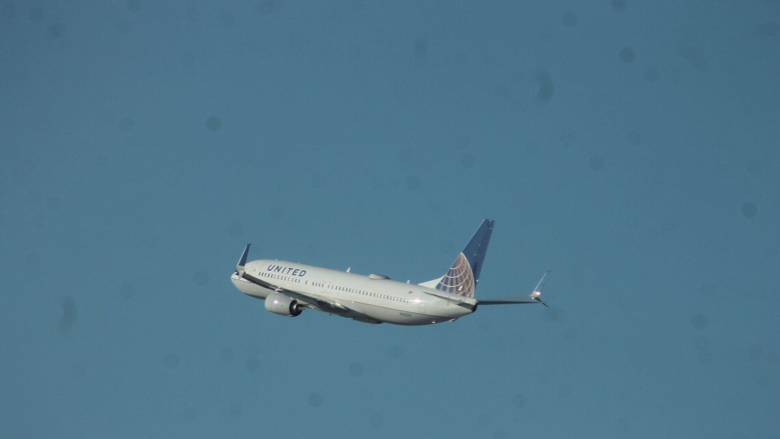 United Airlines Launches Domestic First Class Basic Fares: What Changes